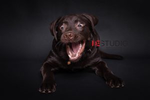 Професионален фотограф във Варна.