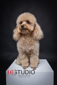 Професионален фотограф във Варна.
