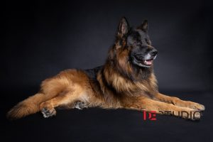 Професионален фотограф във Варна.